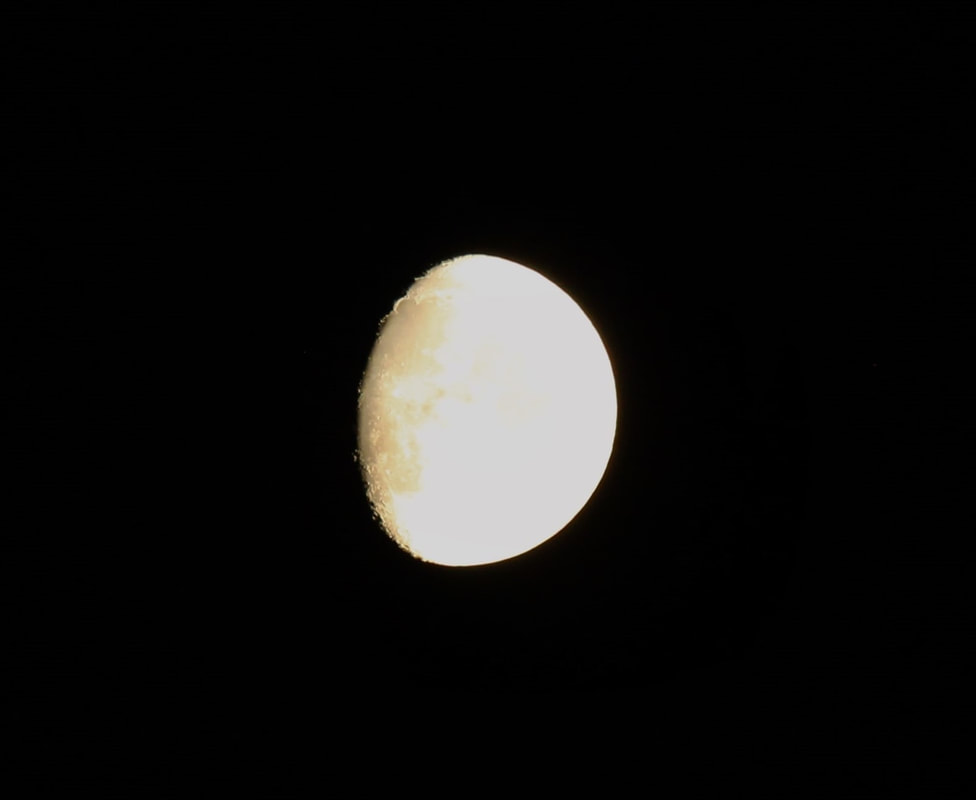Photo of waxing gibbous moon.